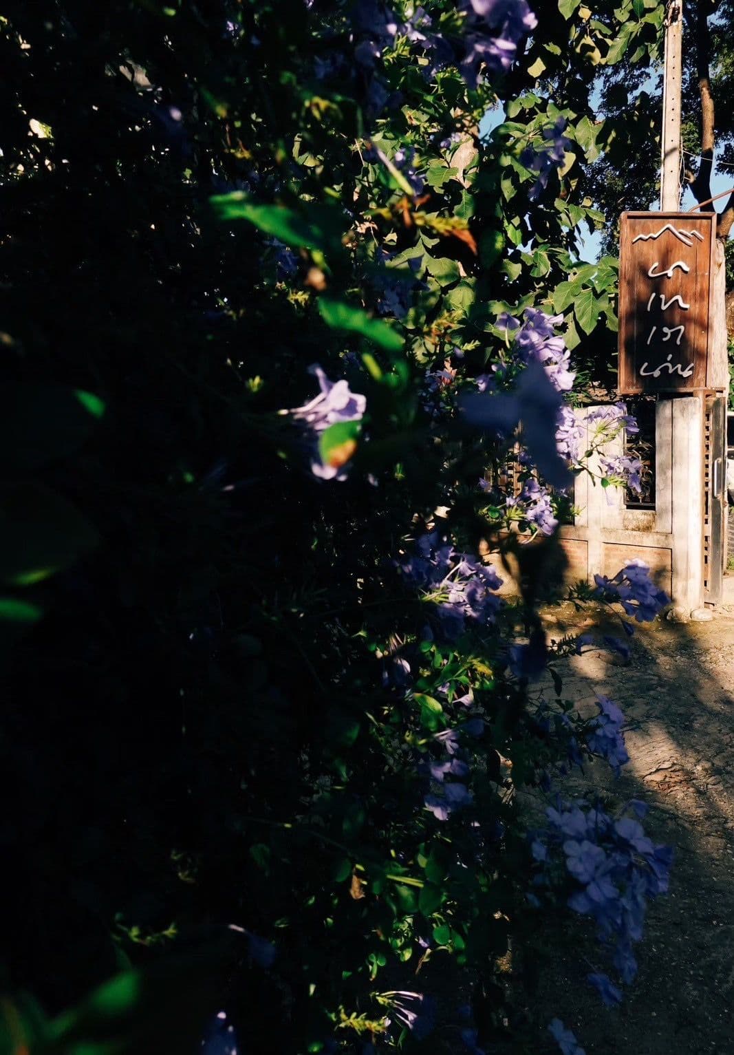 ผามกาแฟ By นา เขา เรา น่าน - 3