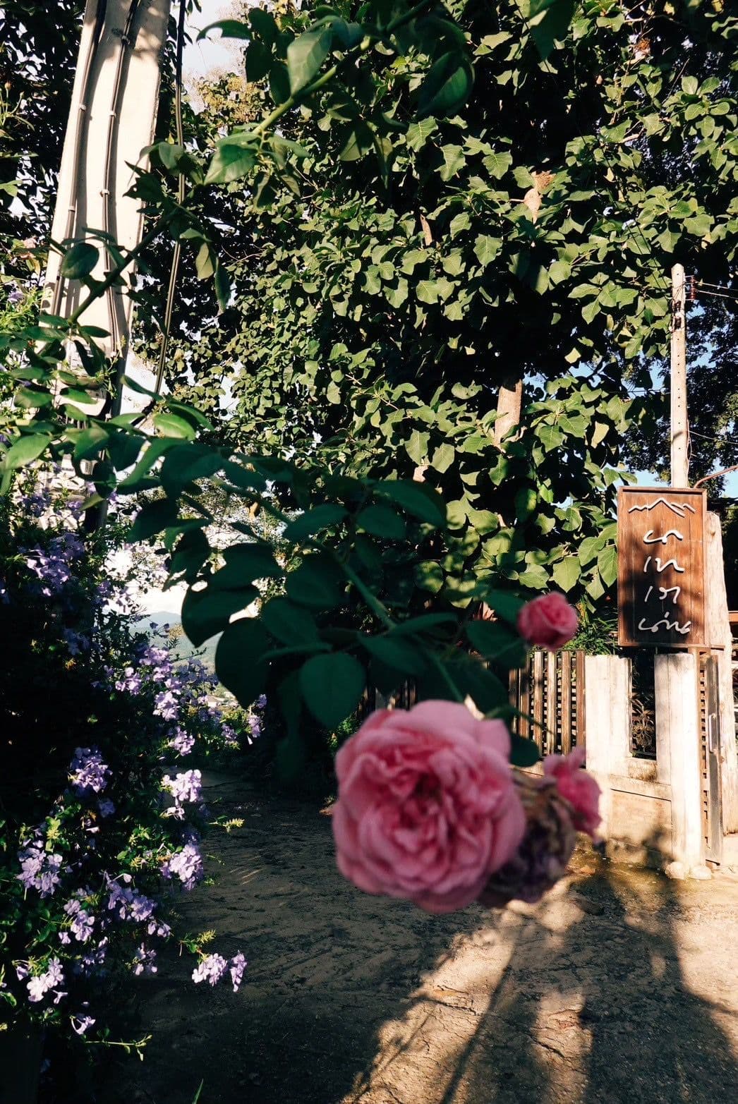 ผามกาแฟ By นา เขา เรา น่าน - 12