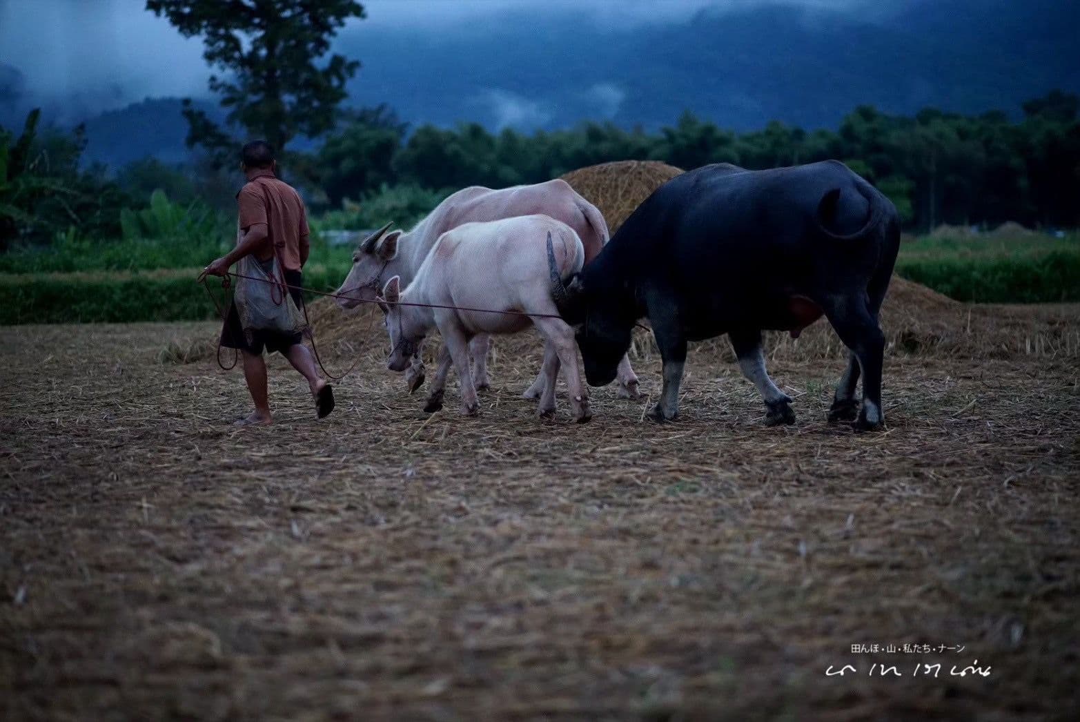 ได้ดิบ ได้ดี - 2